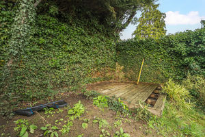 Photo 3- click for photo gallery